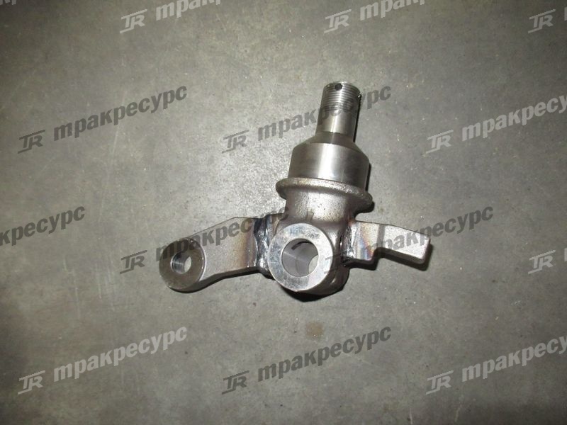 Кулак поворотный правый 281E4-30052