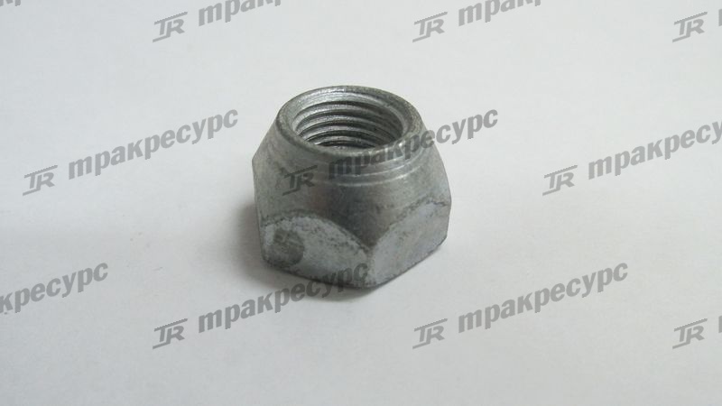 Гайка 23654-34051/14839