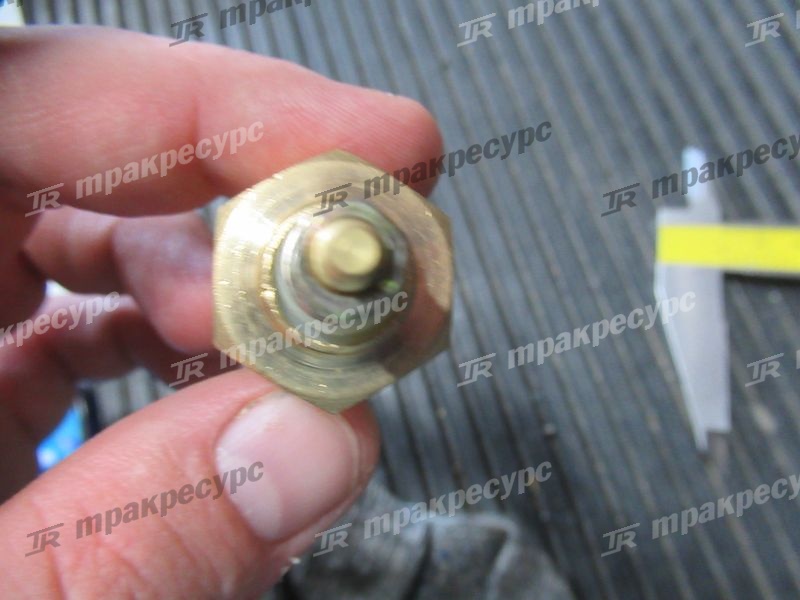 Датчик WG210A R1/2/40B0002