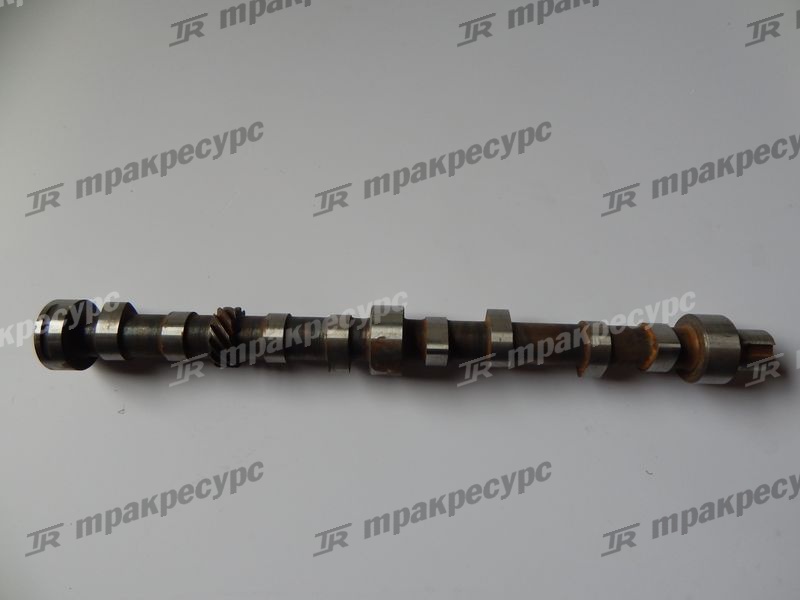 Вал распределительный 490BPG/A490BPG