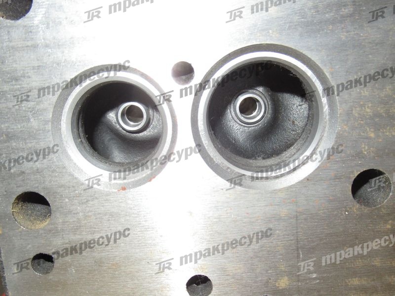 Головка блока цилиндов A490BPG