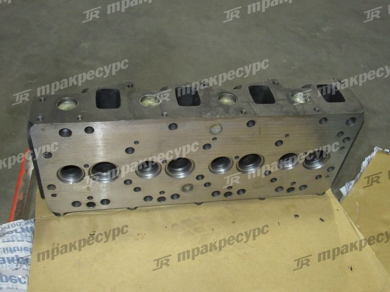 Головка блока цилиндов A490BPG
