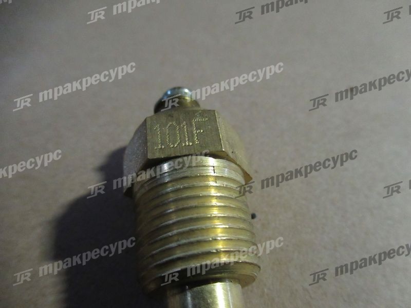 Датчик температуры воды CY6102BG