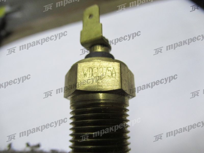 Датчик температуры масла CY6102BG
