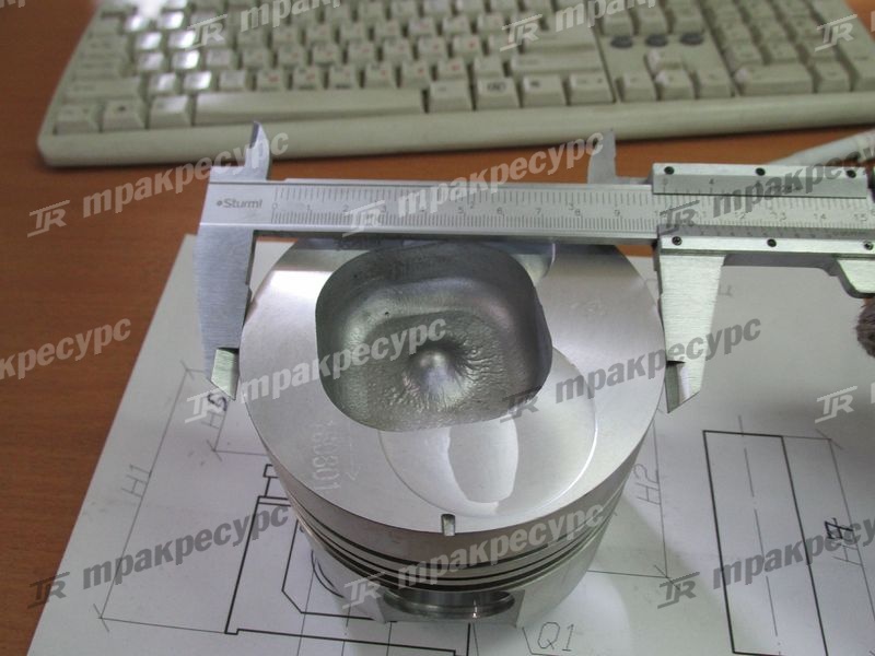 Поршень CY6102BG