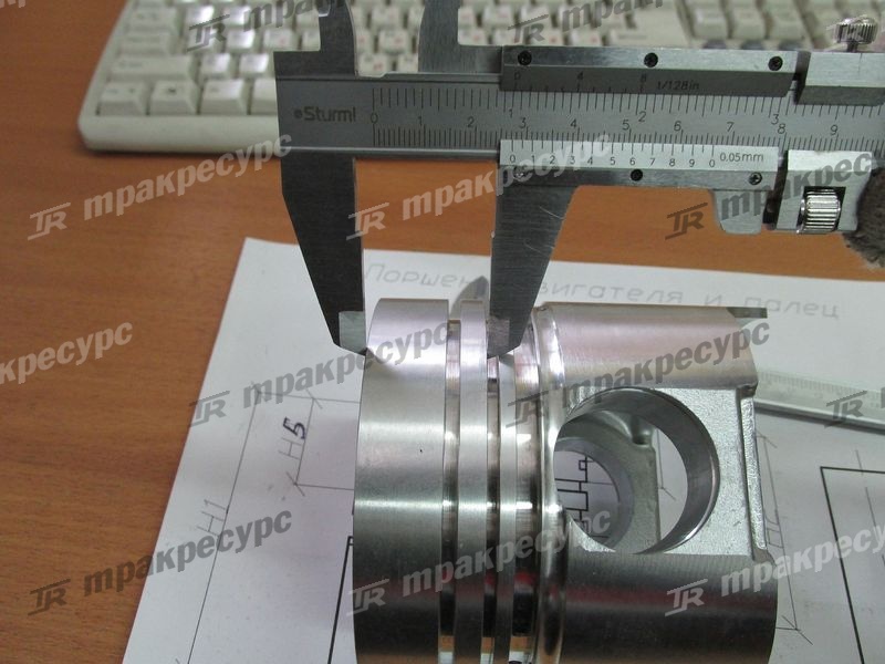 Поршень CY6102BG