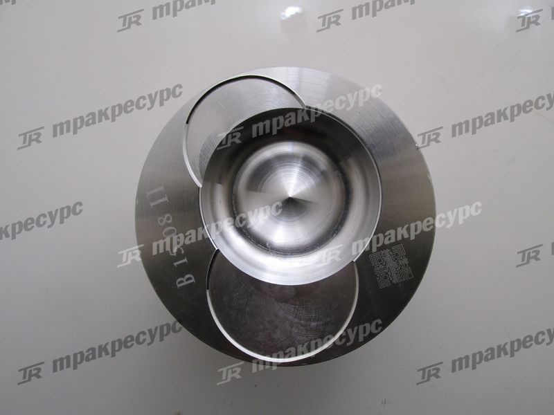 Поршень NB485BPG