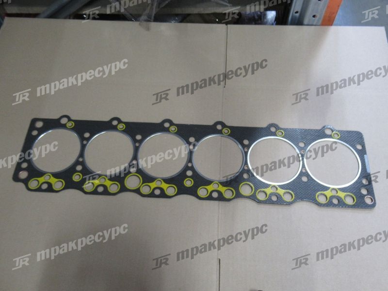 Прокладка головки блока CY6102BG