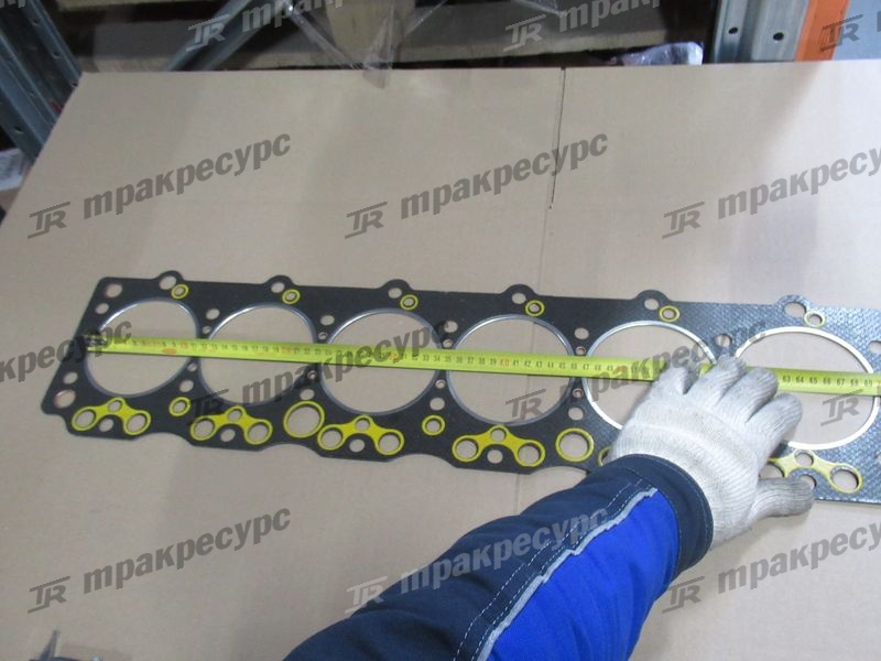 Прокладка головки блока CY6102BG