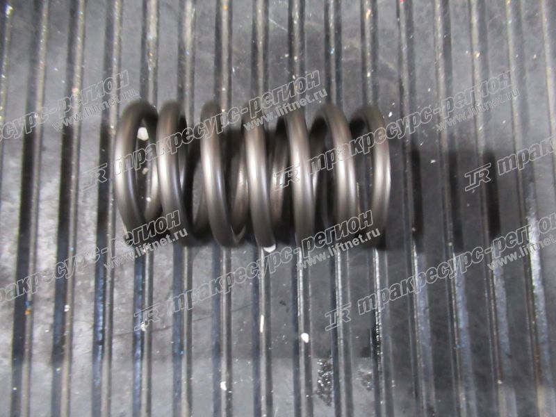 Пружина клапана внешняя 490BPG/A490BPG