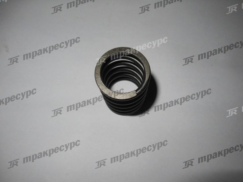 Пружина клапана внешняя NC485BPG/NB485BPG