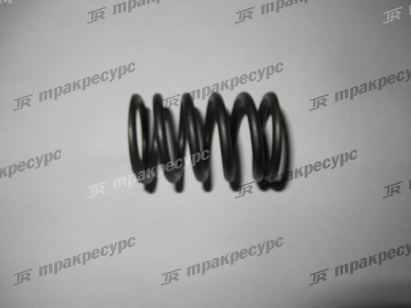 Пружина клапана внешняя NC485BPG/NB485BPG