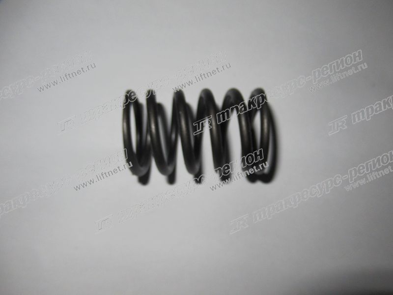 Пружина клапана внешняя NC485BPG/NB485BPG