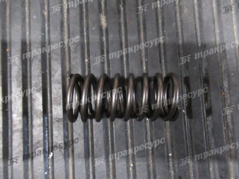Пружина клапана внутренняя NC485PG/NB485BPG