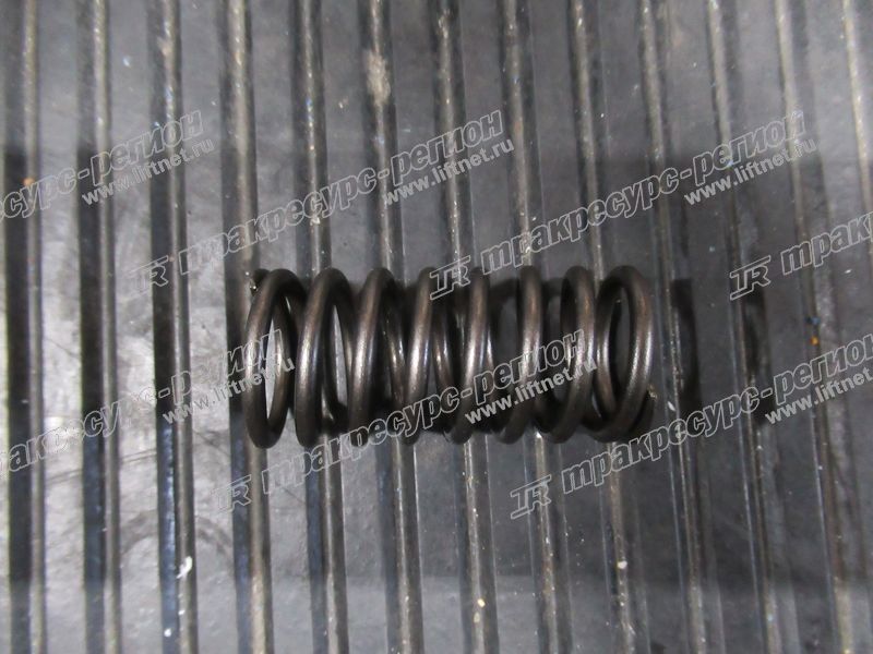 Пружина клапана внутренняя NC485PG/NB485BPG