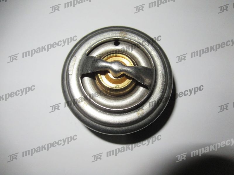 Термостат CY6102BG