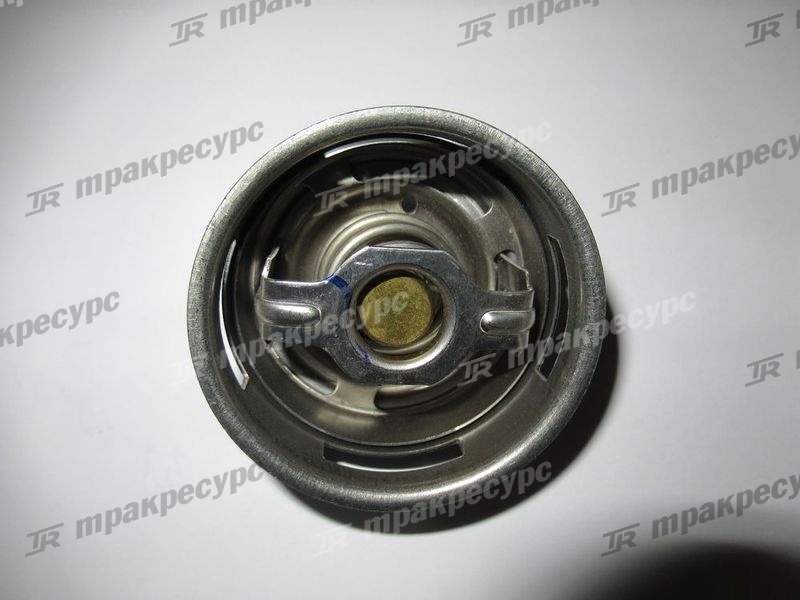 Термостат CY6102BG