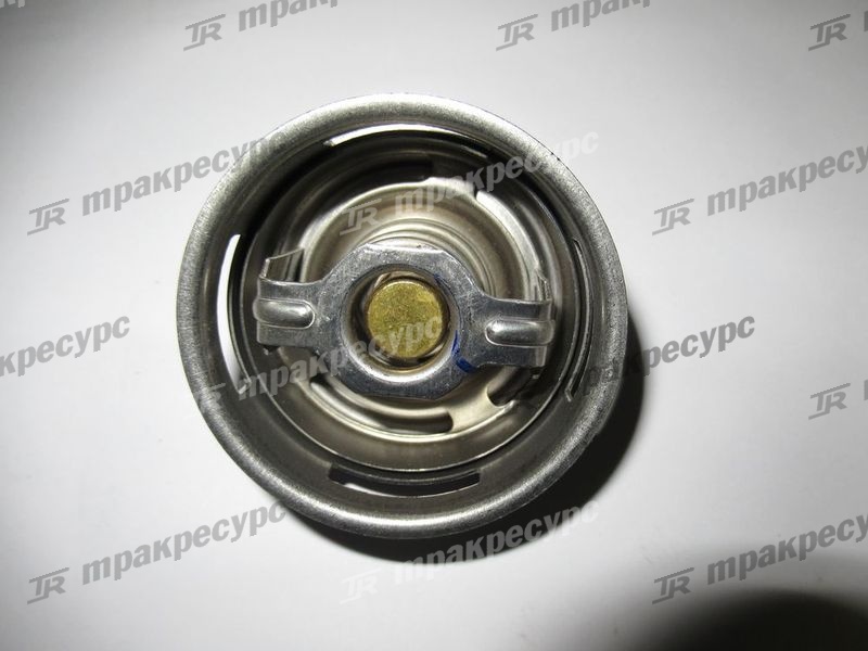 Термостат CY6102BG