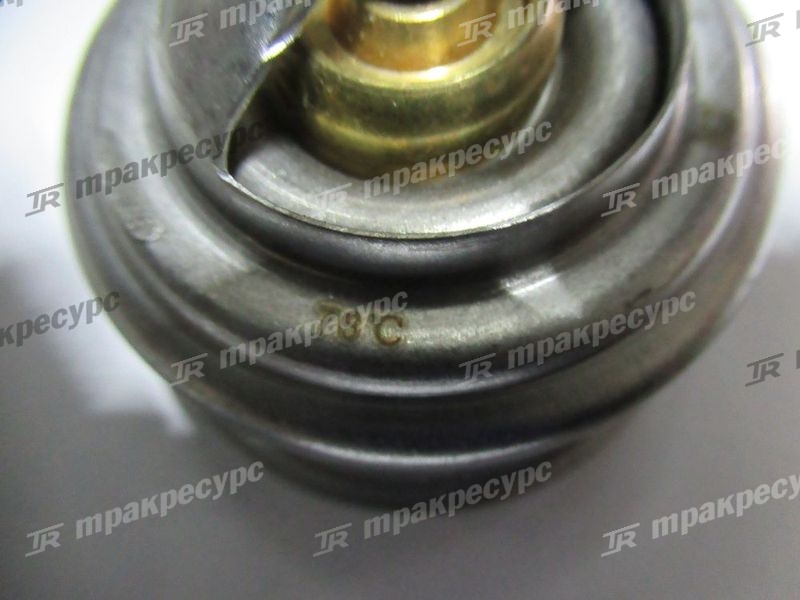 Термостат CY6102BG