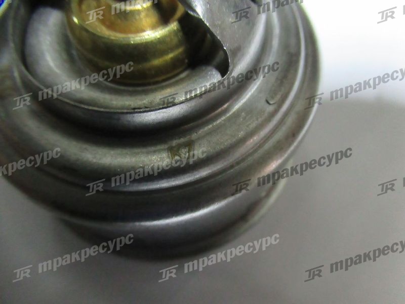 Термостат CY6102BG