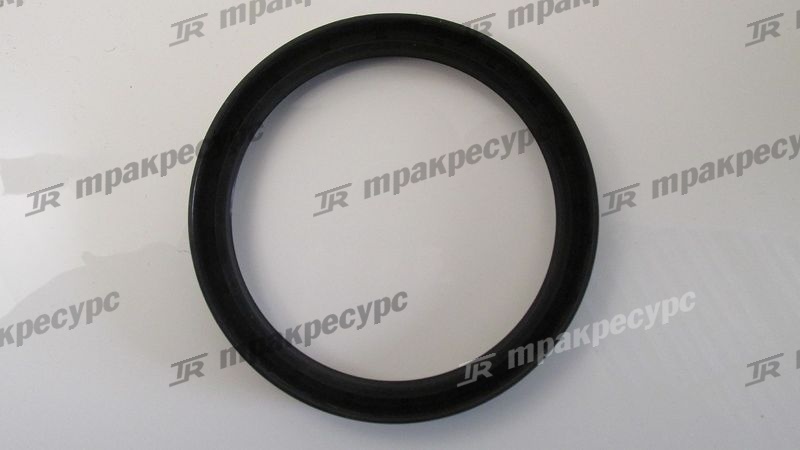 Сальник SG100x120x12