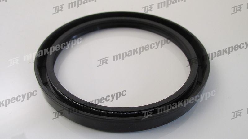 Сальник SG100x120x12