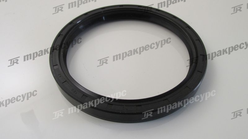 Сальник SG100x120x12