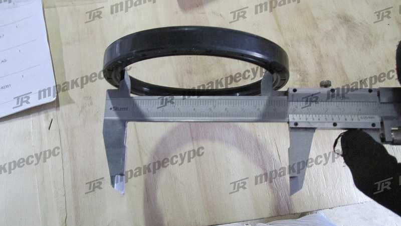 Сальник SG100x120x12