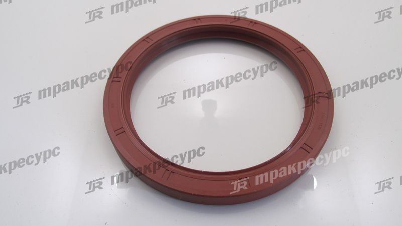 Сальник В100x125x12