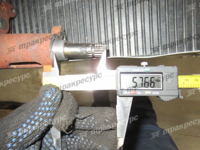 Насос масляный CY6102BG