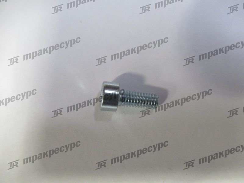 Винт 10377
