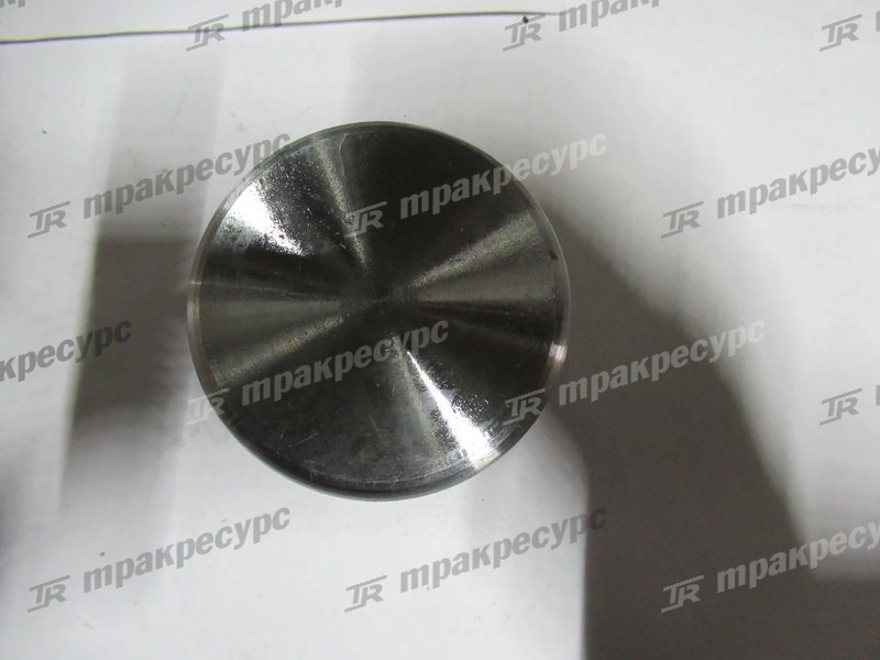 Поршень тормозного цилидра XG932II