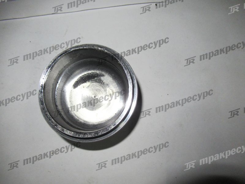 Поршень тормозного цилидра XG932II