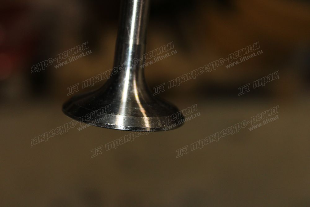 Клапан выпускной CY6102BG