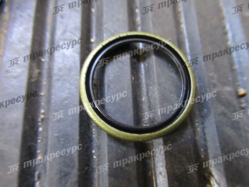 Сальник оси поворотного кулака 48522-FJ101