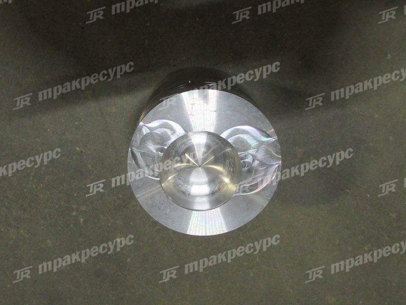 Поршень 490BPG