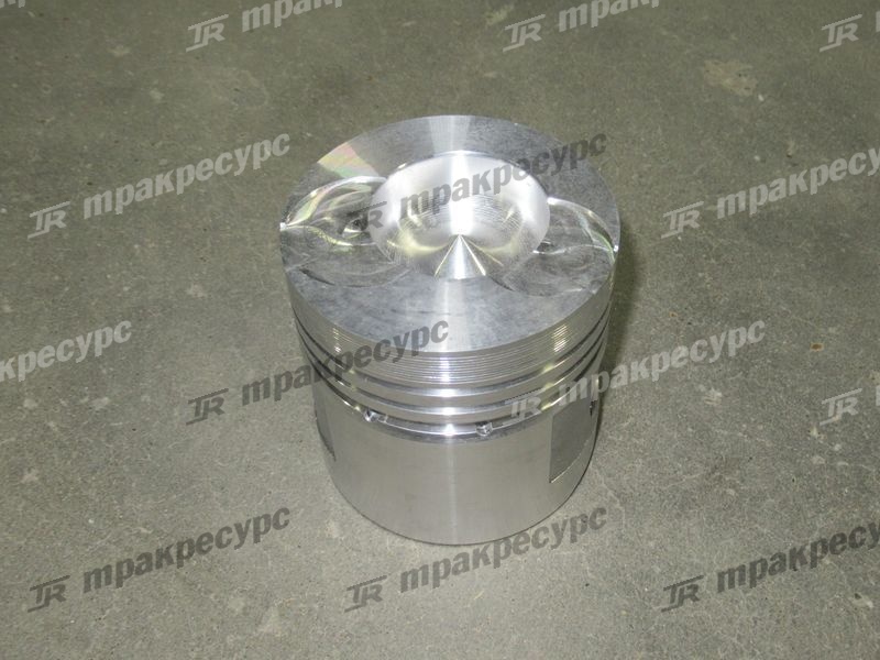 Поршень 490BPG