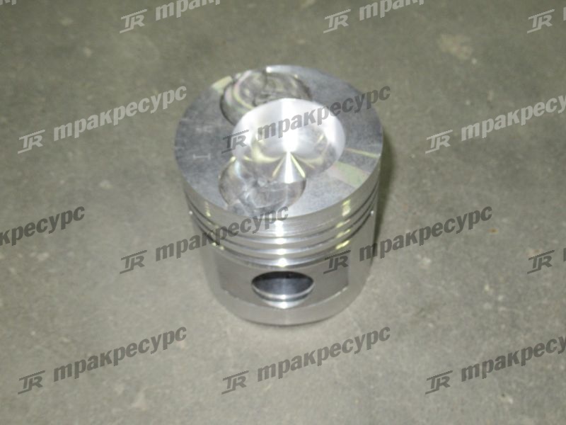 Поршень 490BPG