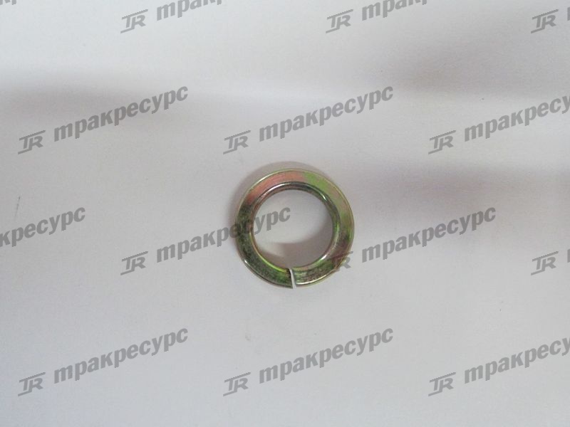 Шайба граверная 12