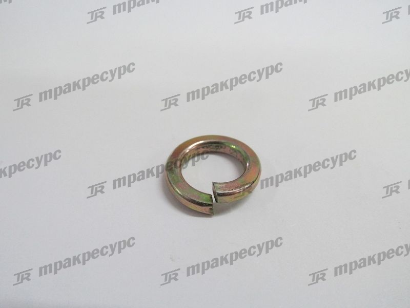 Шайба граверная 12