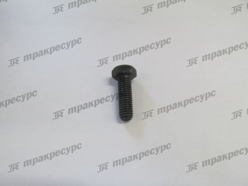 Болт M8x25