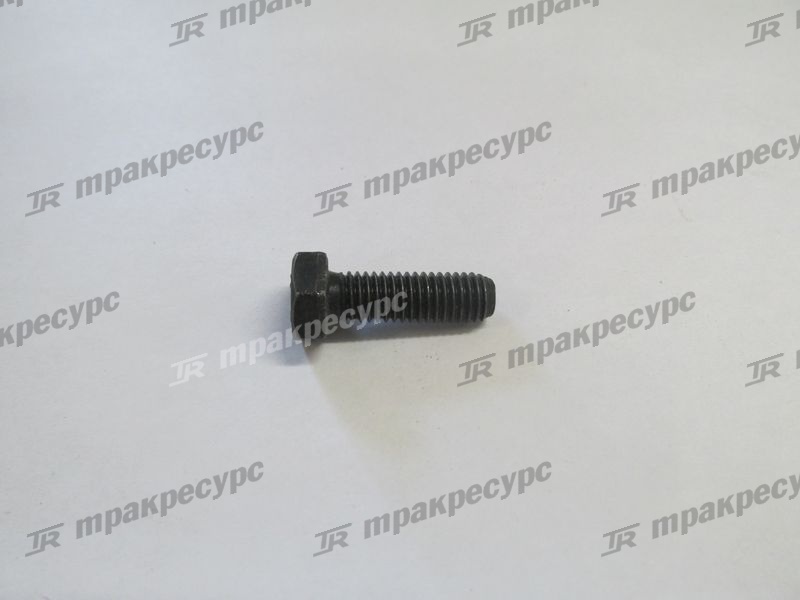 Болт M8x25