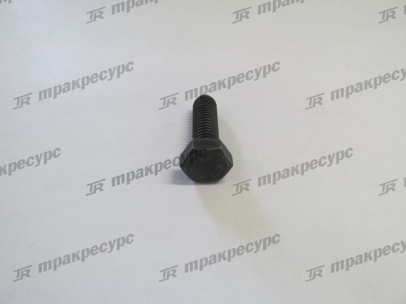 Болт M8x25
