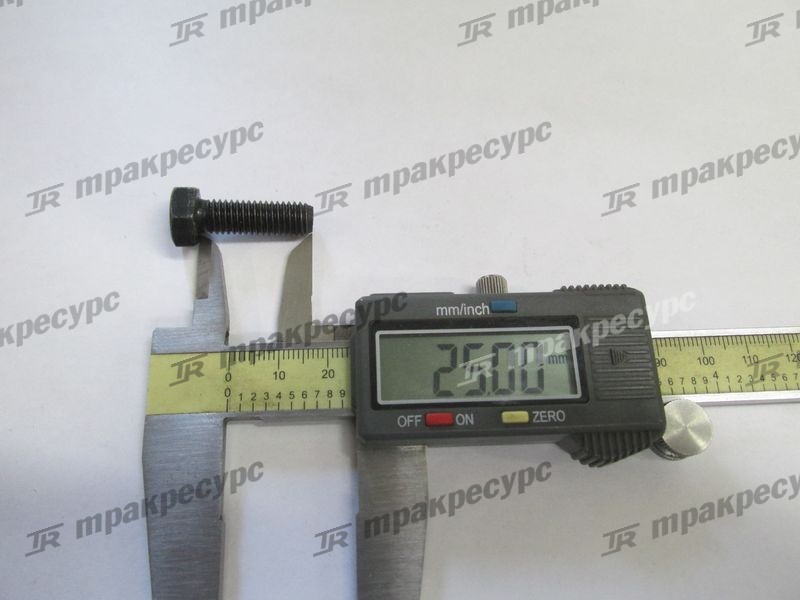 Болт M8x25