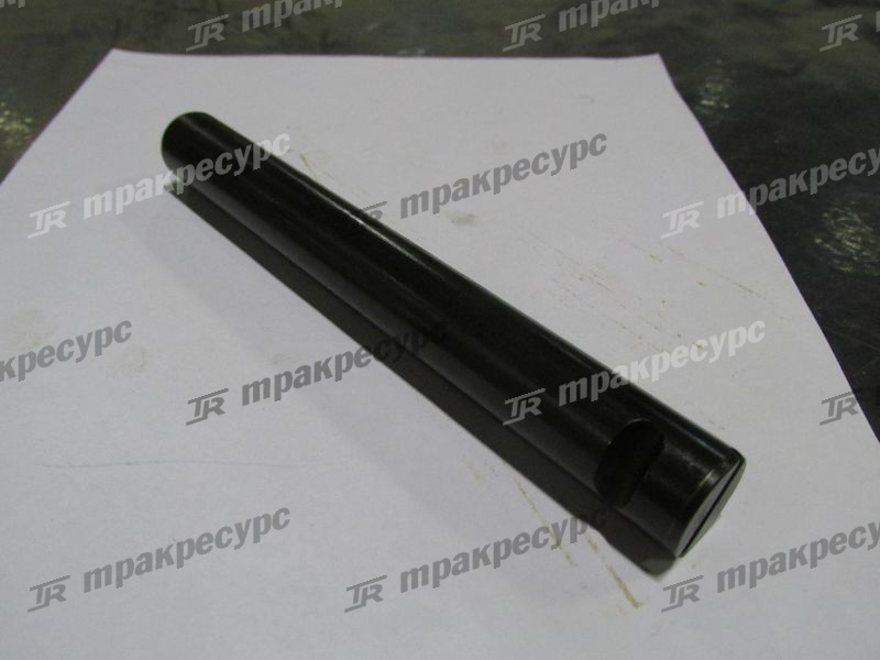 Палец 45584461006