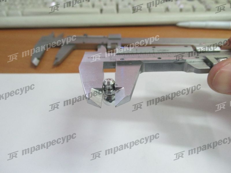 Пресс масленка M6x0.75 НС