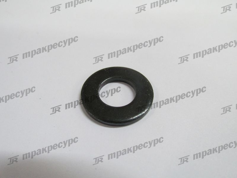 Шайба 02000-20010