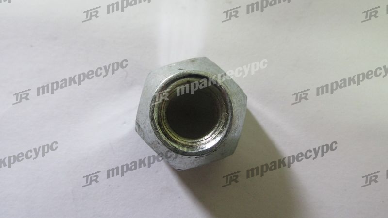 Гайка ступицы 90179-12004-71