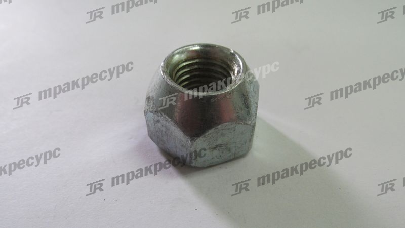 Гайка ступицы 90179-12004-71