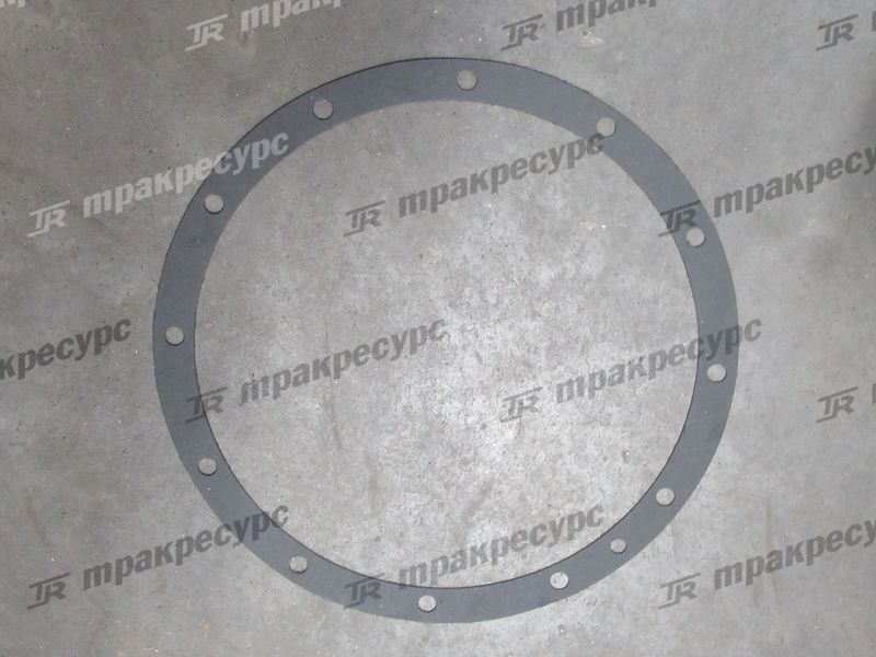 Прокладка 20X2100009